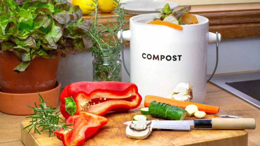 eco-friendly kitchen composting, indoor composting bins, composting without a garden