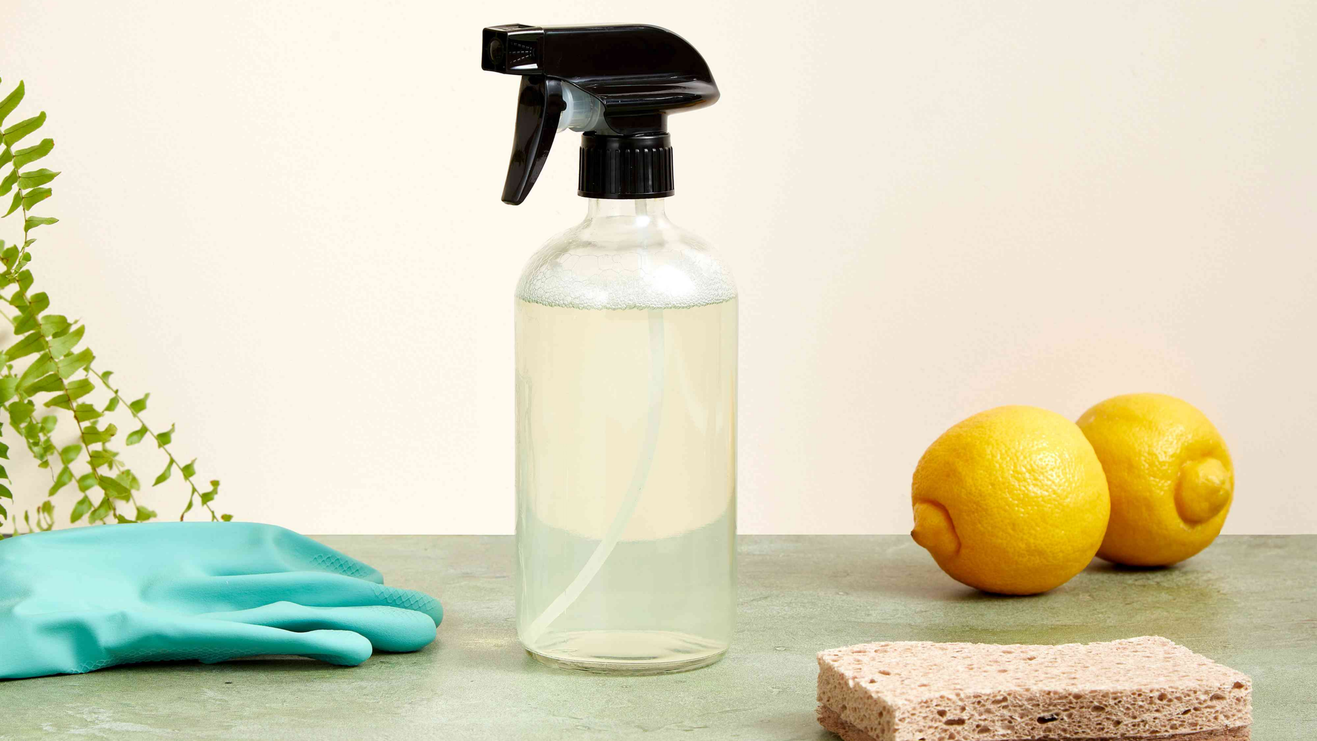 Green cleaning ideas for the home, Plant-based cleaning products, diy all-purpose cleaner