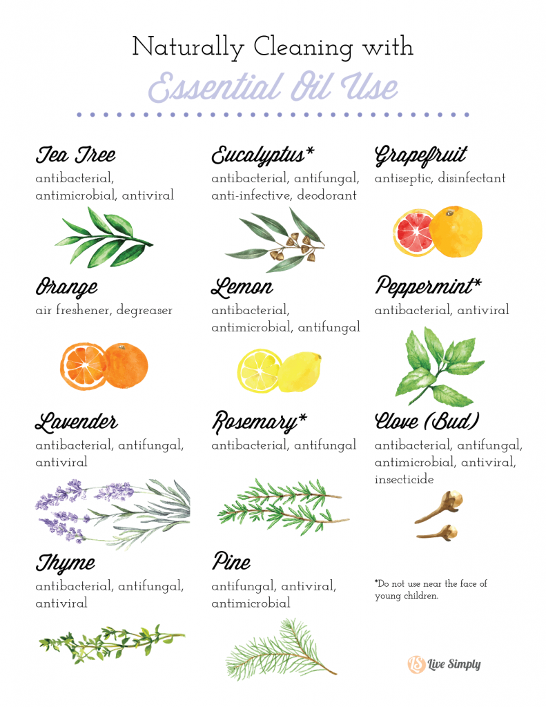 essential oils for diy cleaning recipes, essential oils cleaning properties, essential oils home clean use