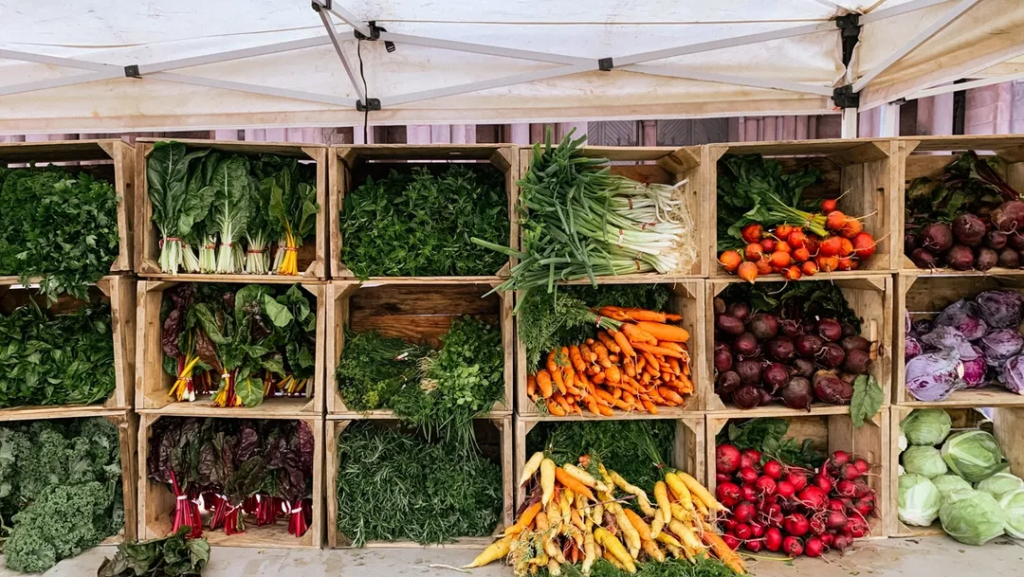 farmer's market vegetables, eco-friendly grocery shopping