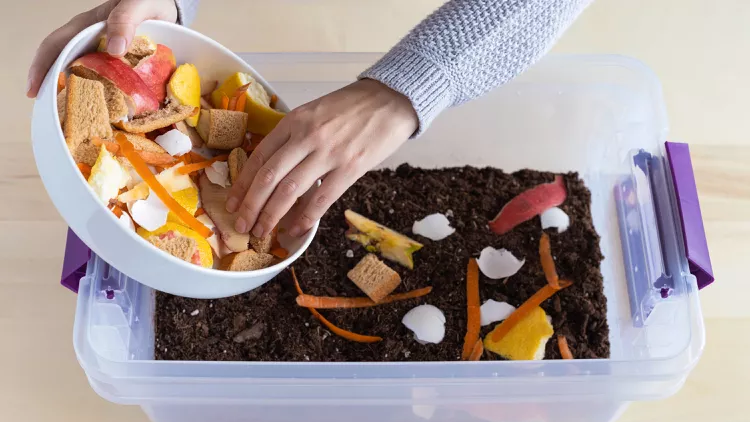 countertop compost bin, indoor composting guide